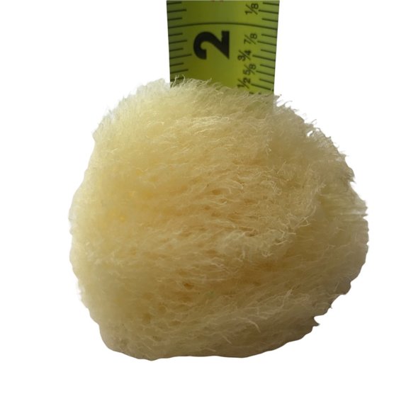 Baudelaire Silk Sea Sponge, New, Small - Picture 3 of 9